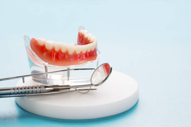 Professional Holistic Dental Care Services in Sealy, TX